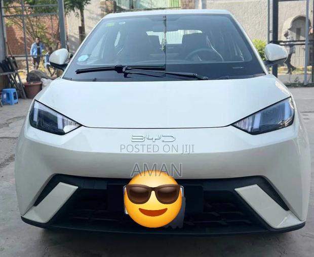 BYD Seagull 2024 White