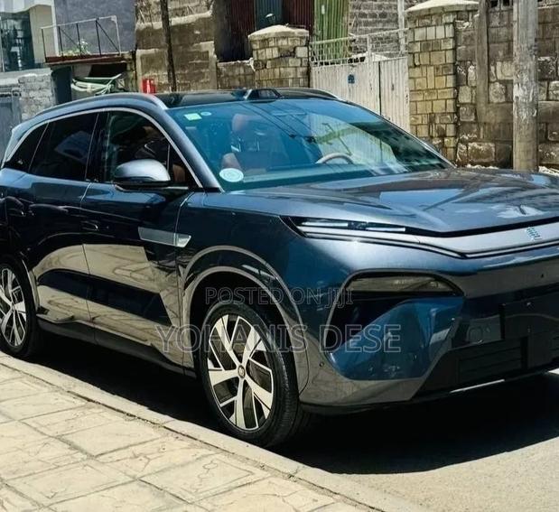 BYD Tang DM-i 2025 Green