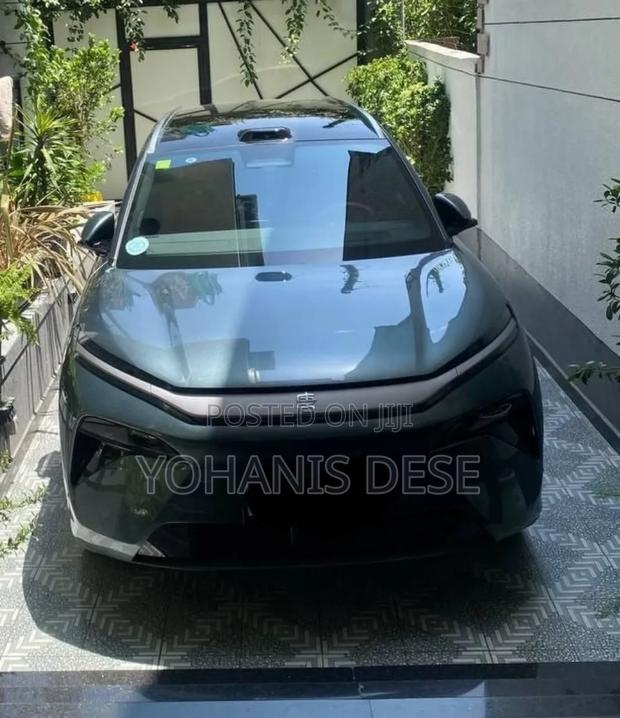 BYD Tang DM-i 2025 Green