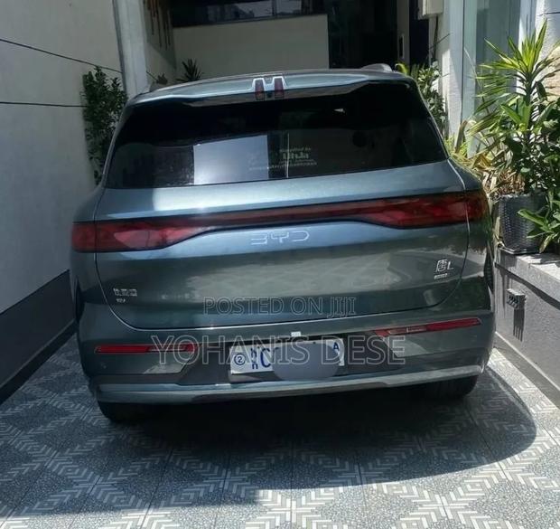 BYD Tang DM-i 2025 Green