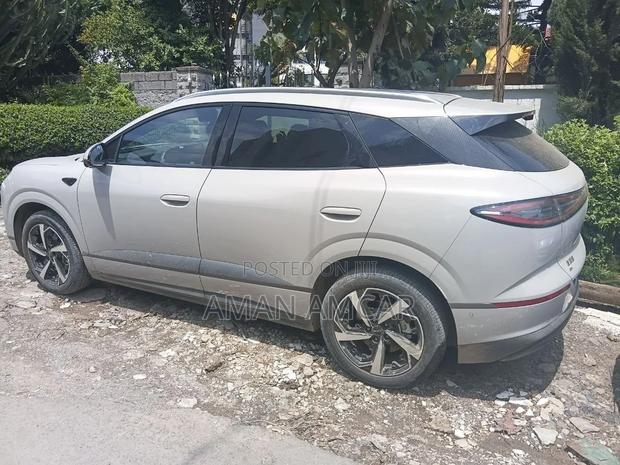 New BYD Sealion 06 EV 2025 Gray