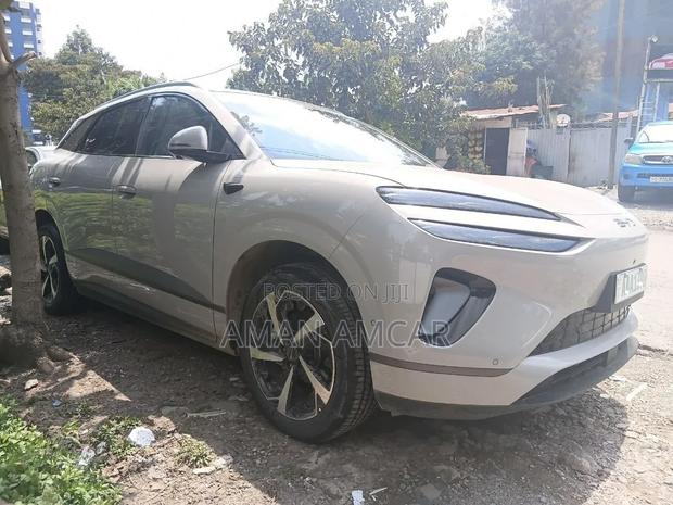 New BYD Sealion 06 EV 2025 Gray