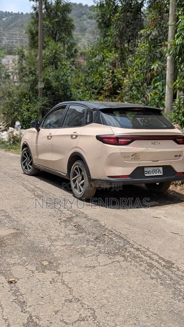 Hozon Neta Aya 2024 Beige