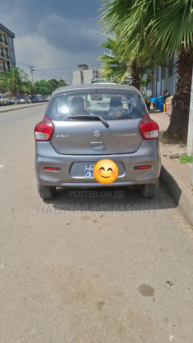 Suzuki Celerio 2022 Silver