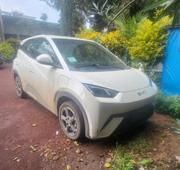 BYD Seagull 2024 White for sale