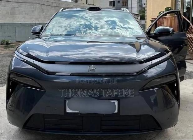 BYD Tang EV 2025 Gray