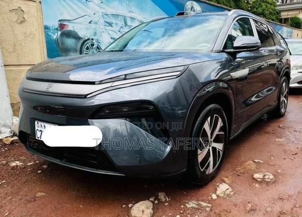 BYD Tang EV 2025 Gray
