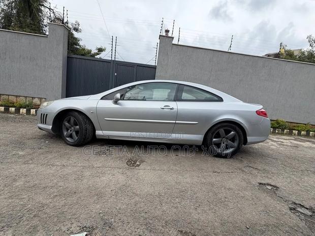Peugeot 407 2007