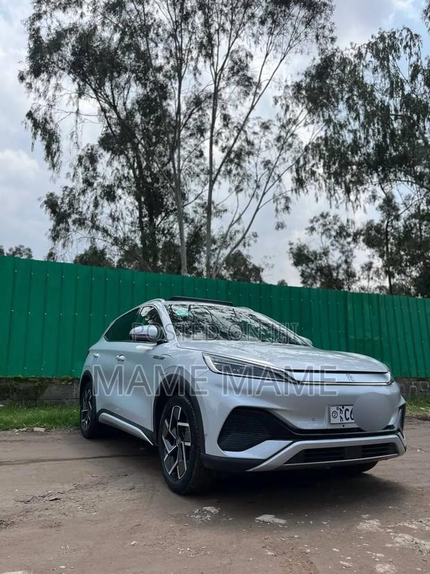 New BYD Yuan Plus 2024 Gray