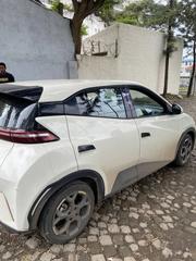 New BYD Seagull 2025 White for sale