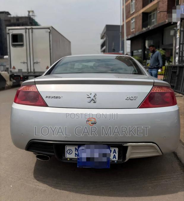 Peugeot 407 2007 Silver