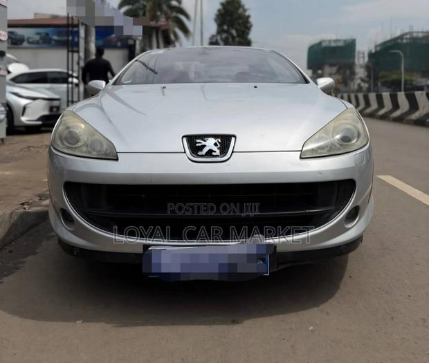 Peugeot 407 2007 Silver