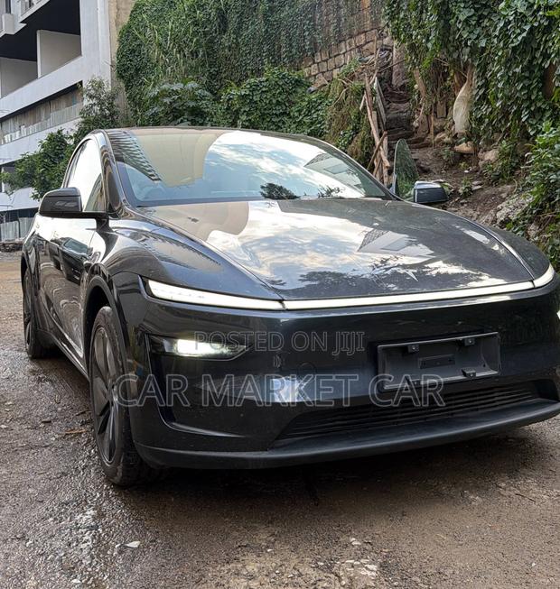 New Tesla Model Y Long Range RWD 2024 Gray