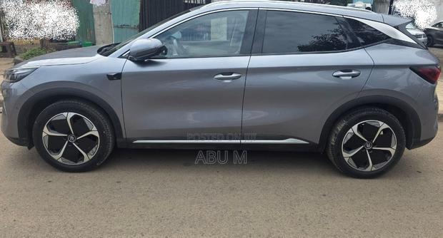 BYD Yuan Plus 2025 Gray