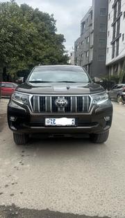 Toyota Land Cruiser Prado 2019 Brown for sale