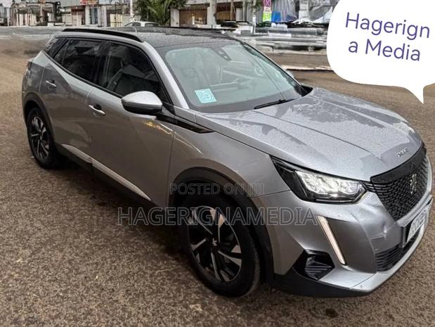 Peugeot 2008 2022 Gray