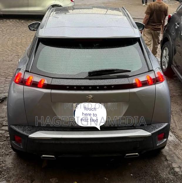 Peugeot 2008 2022 Gray