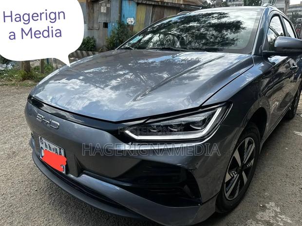 BYD E2 43 kWh 94 hp FWD 2024 Gray