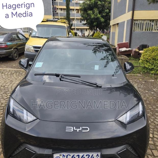 BYD Seagull 2024 Black