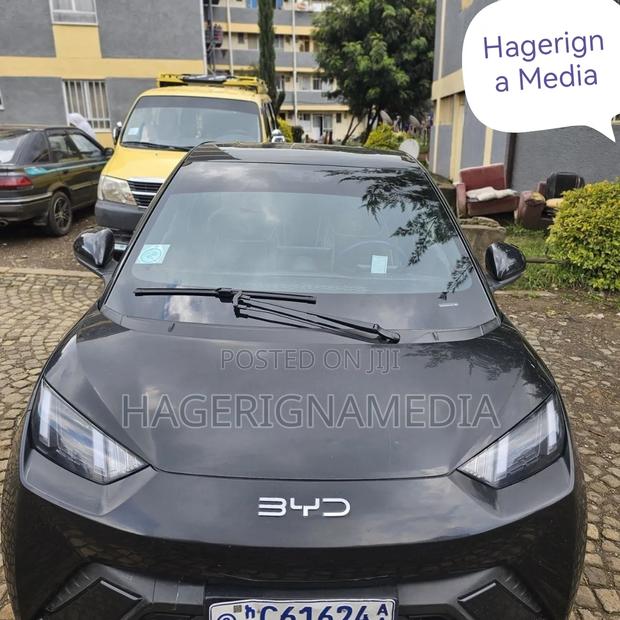BYD Seagull 2024 Black