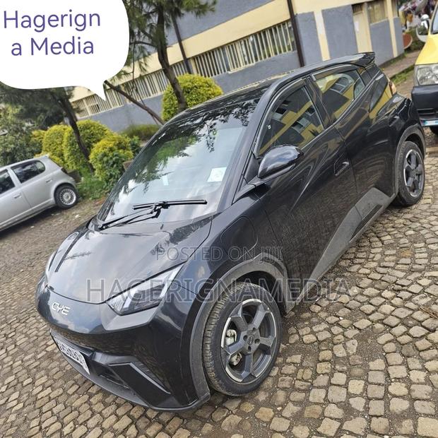 BYD Seagull 2024 Black