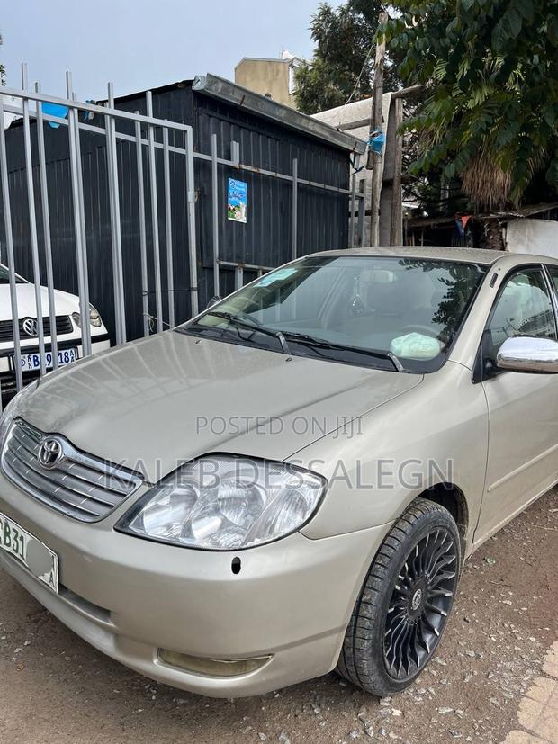 Toyota Corolla 2005 Brown