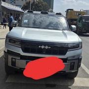 BYD Leopard 8 2.0 Hybrid AWD 2025 Blue for sale