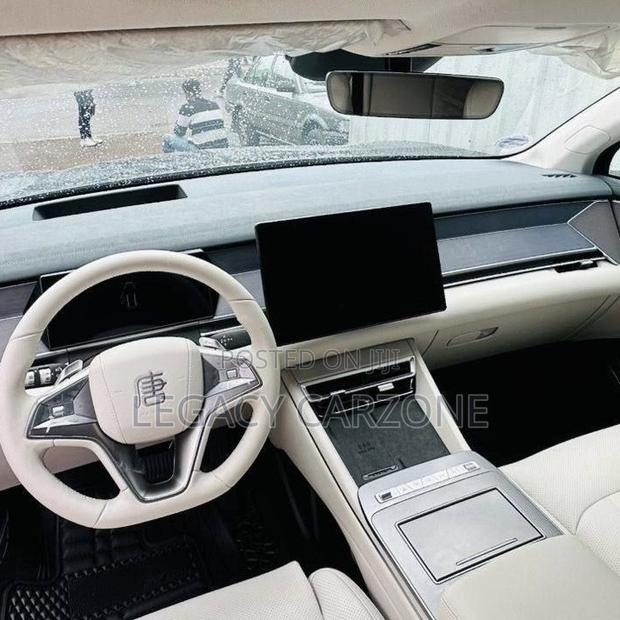 BYD Tang EV 2025 Gray