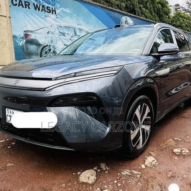 BYD Tang EV 2025 Gray