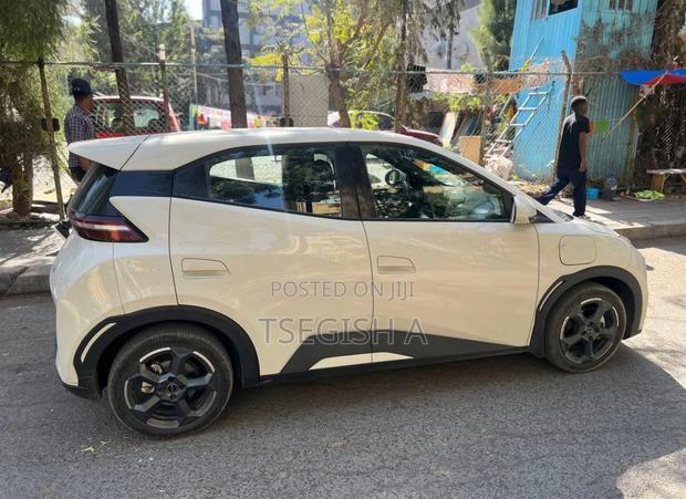New BYD Seagull 2024 Silver