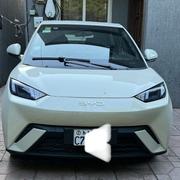 BYD Seagull 2025 White for sale