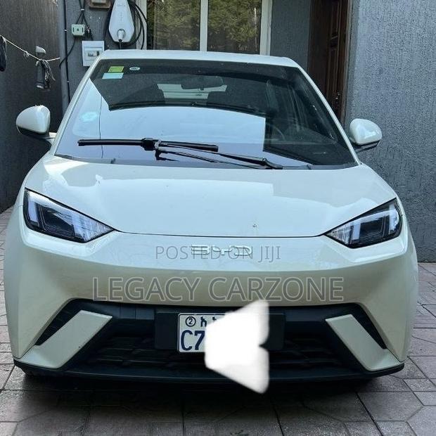 BYD Seagull 2025 White