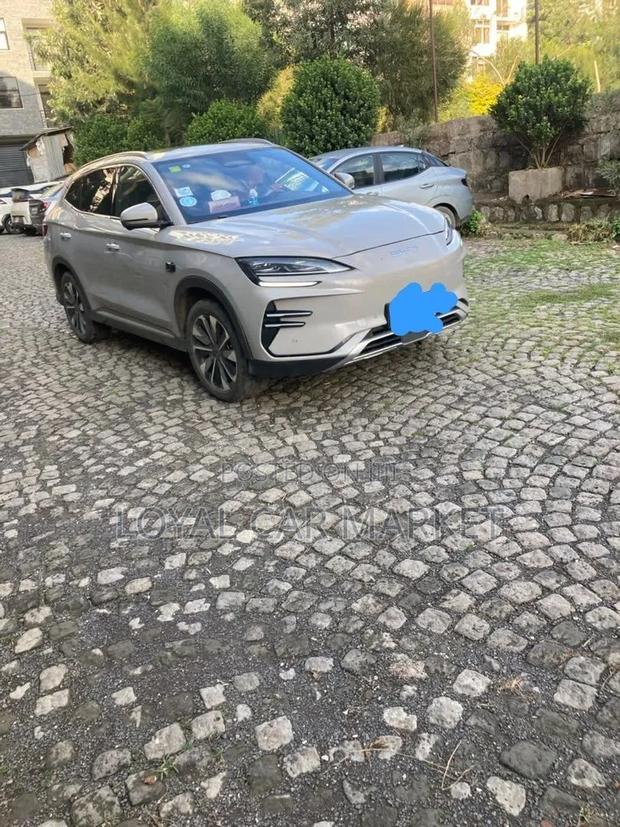 BYD Song Plus 2025 Gray