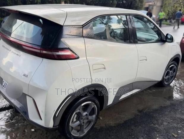 BYD Seagull 2024 White