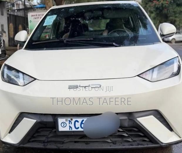 BYD Seagull 2024 White