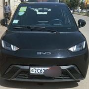 BYD Seagull 2024 Black for sale