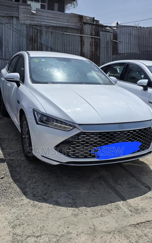 BYD Qin Plus DM-i 2025 White