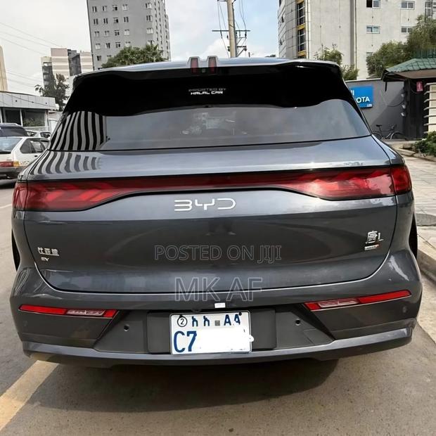 BYD Tang EV 2025 Gray