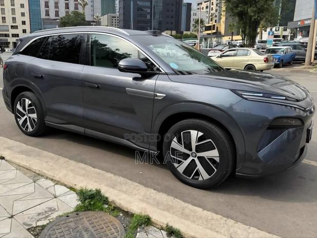 BYD Tang EV 2025 Gray