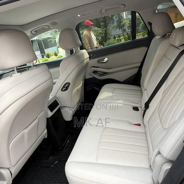 BYD Tang EV 2025 Gray