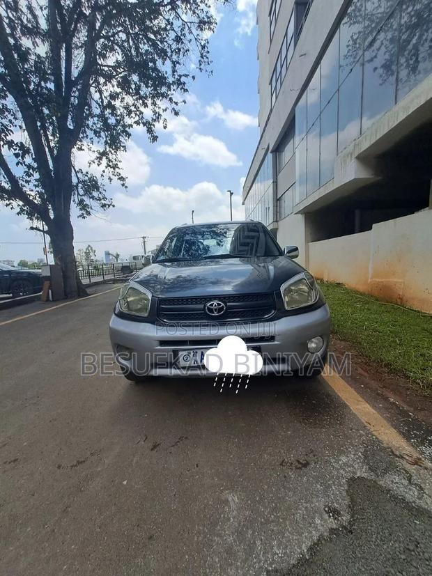 Toyota RAV4 2005 Gray