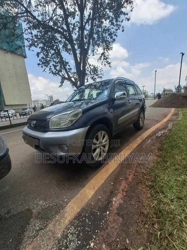 Toyota RAV4 2005 Gray