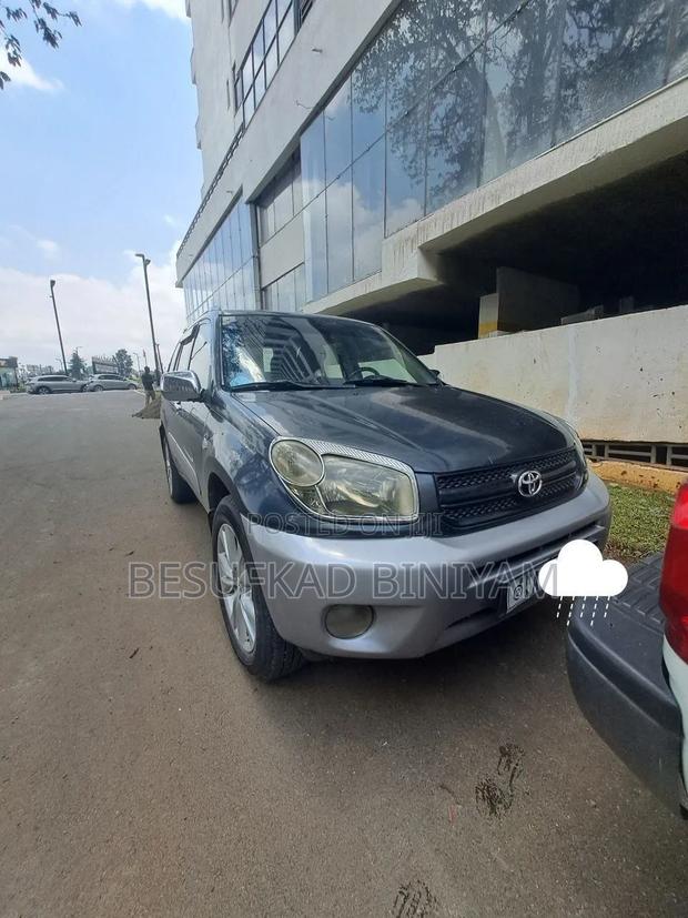 Toyota RAV4 2005 Gray
