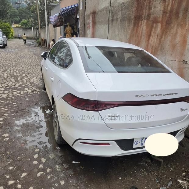 BYD Qin Plus DM-i 2025 White