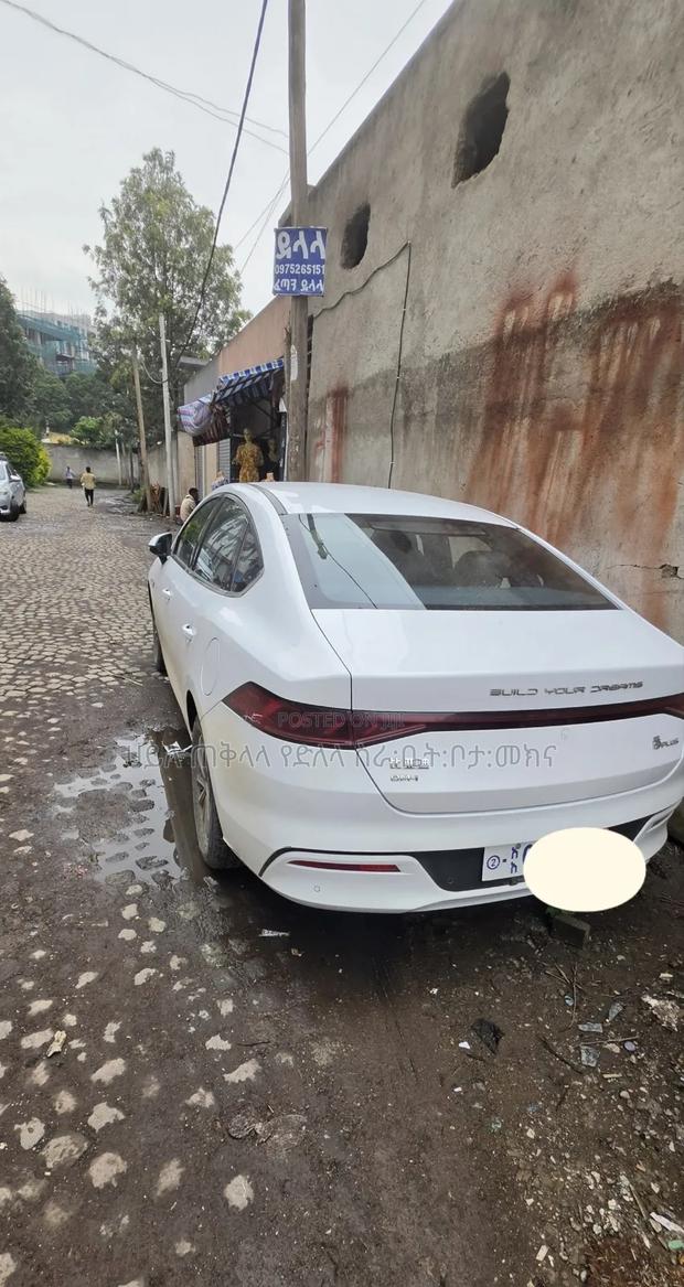 BYD Qin Plus DM-i 2025 White