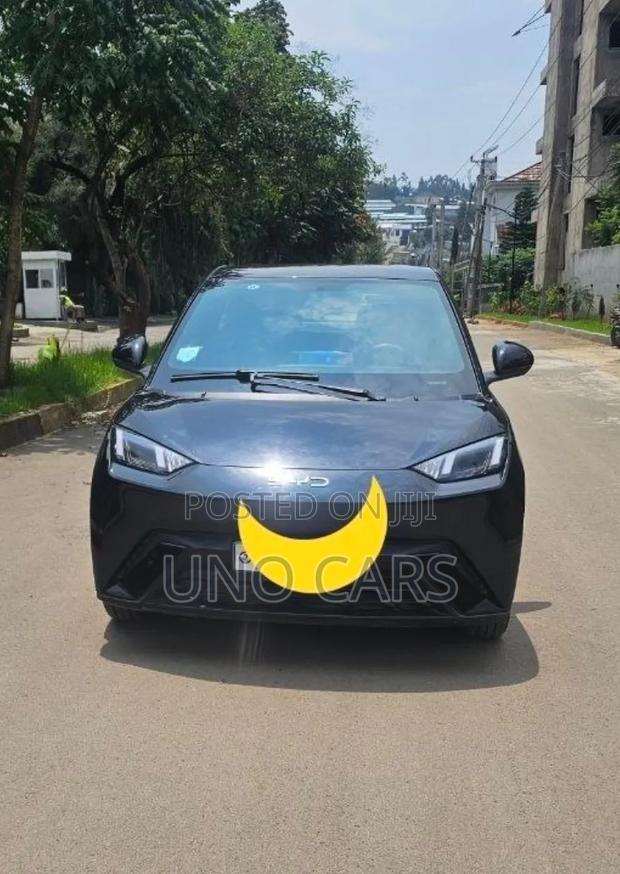 BYD Seagull 2024 Black