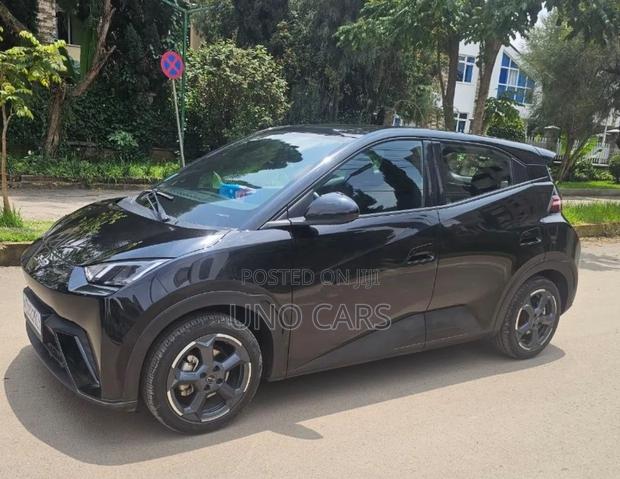 BYD Seagull 2024 Black