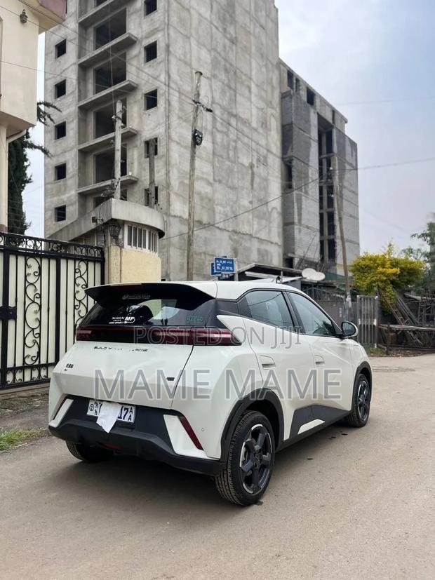BYD Seagull 2024 Gray