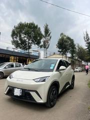 BYD Seagull 2024 Gray for sale