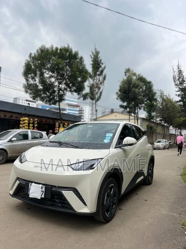 BYD Seagull 2024 Gray
